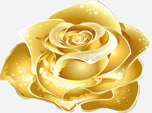 金色玫瑰花