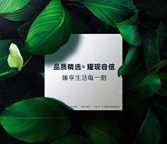 像极了刘振宇采集到海报