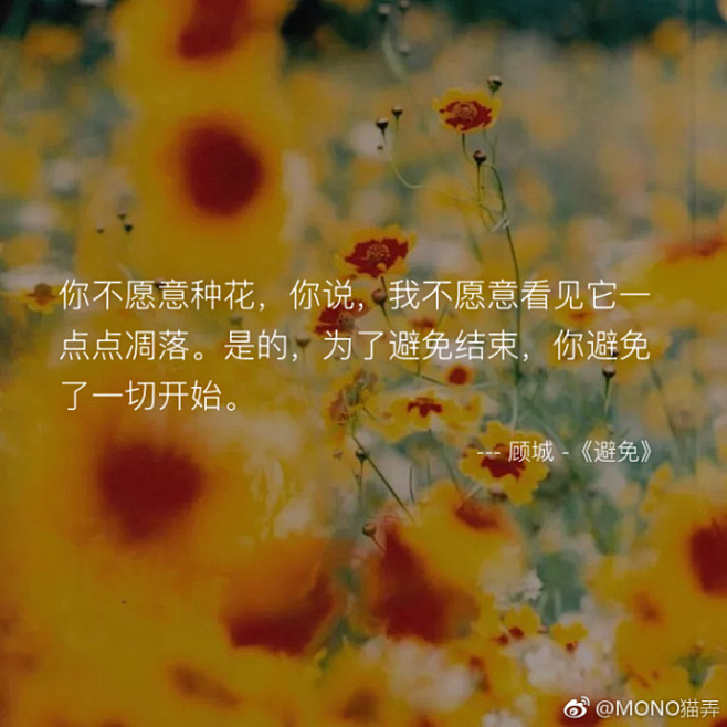 顾城《避免》(来自@mono猫弄