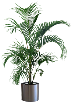 无e不设采集到植物