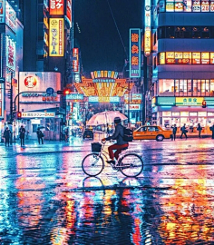 像橘子的太阳采集到一城 一人