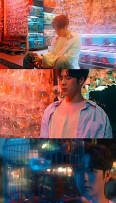 狐狸公子灯夜乐游春采集到boys