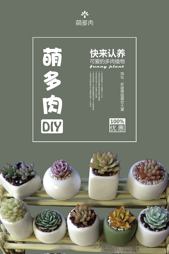多肉海报