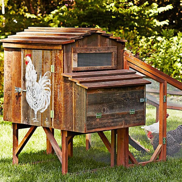 庭院diy花园里的鸡舍豪华别墅型