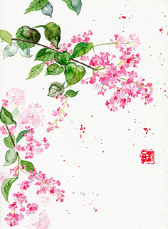 Chika1212采集到开到荼縻花事了