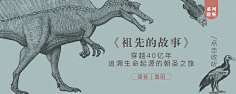 小牧童采集到banner设计