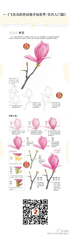 瑾喻采集到彩铅教程(静物)