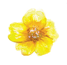 __葉○采集到花草
