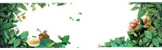 爱吃鱼的猫gt;gt;采集到活动素材PNG