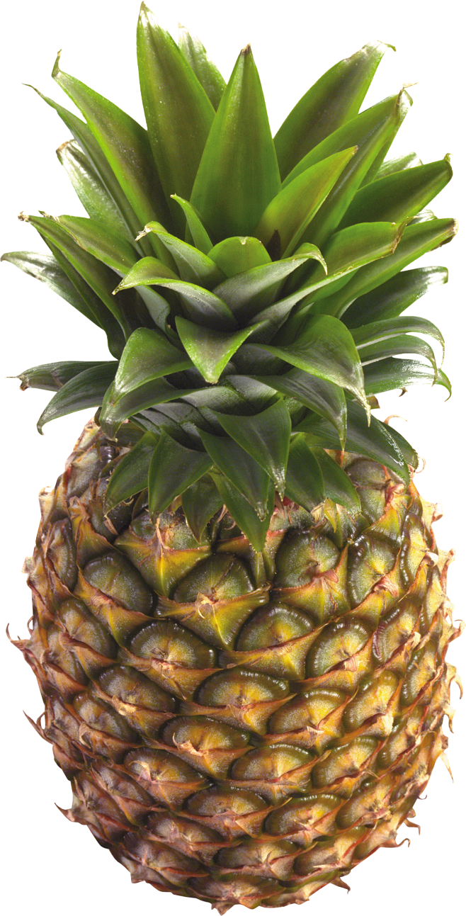 pineapplepngimagefreedownload