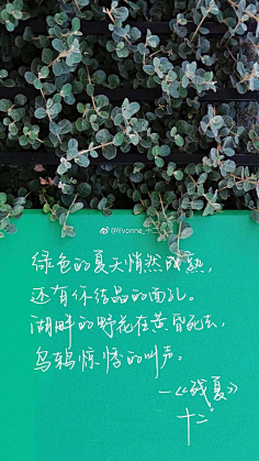 乄輪迴〆幾夢°ξ采集到言直指心、
