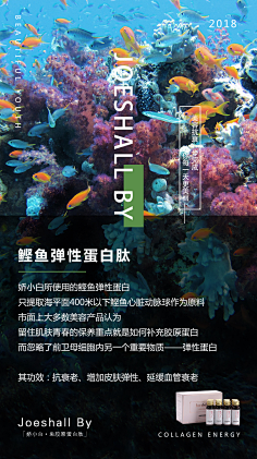 '77采集到成分/技术(详情)