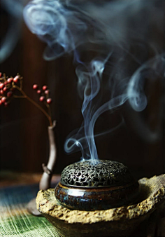 大鱼的海棠采集到茶事