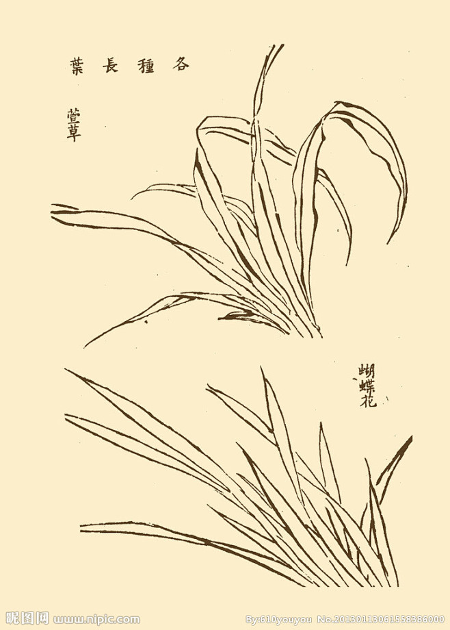 芥子園畫譜花卉大圖點擊還原