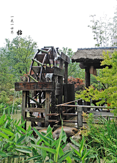 flora小六采集到无锡禅意小镇拈花湾