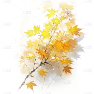 预览图