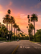 美国风情的贝弗利山
Beverly Hills by Serge Ramelli on 500px