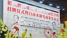 OK呀采集到拍照