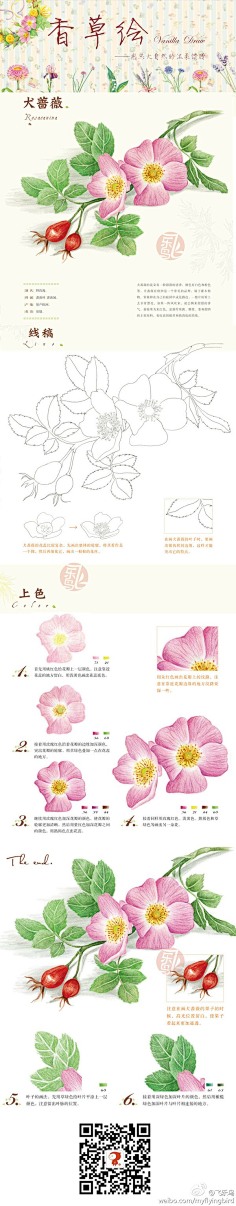 Derway采集到彩铅