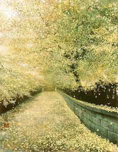 春花落尽·不曾回头采集到在路上