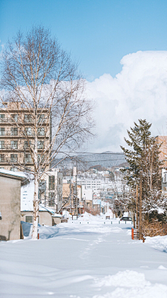 易爆易不燃采集到背景