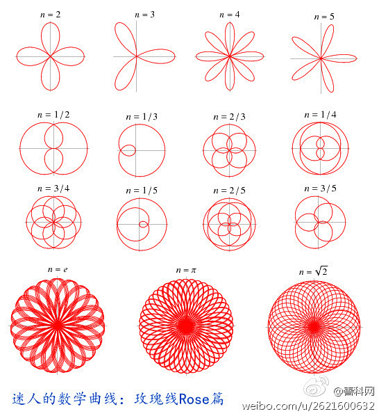 迷人的数学曲线玫瑰线rose篇数学里一些看似简单的极坐标函数其图像意