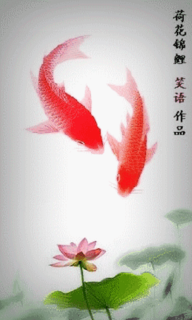 动态锦鲤壁纸2.0汉化版图片