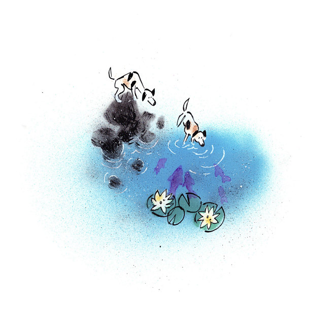 360° VIEW! Visit of the park : The park is ope