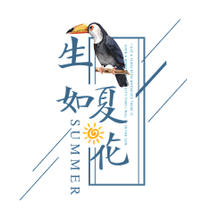 海芯晴采集到字体排版
