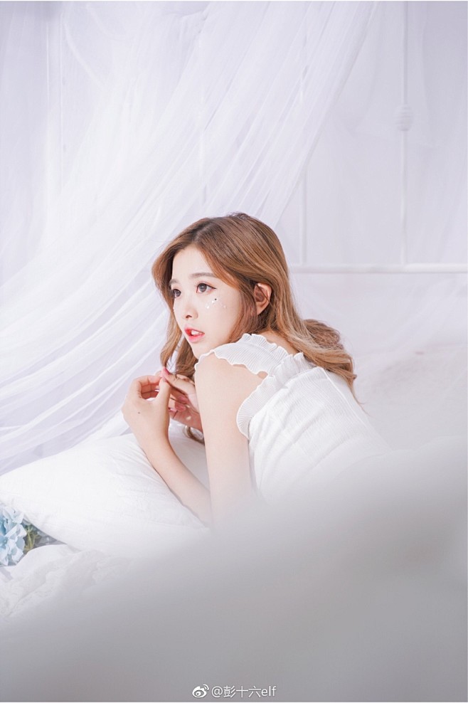 彭十六elf的微博