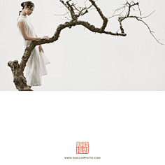 LHY~海采集到Chinese material—中式素材