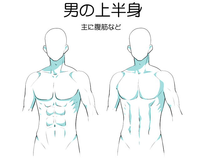 男の上半身を描く腹筋の描き方季月エルの漫画pixiv