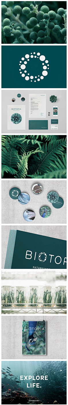 Aure滴采集到Branding