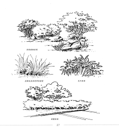 草丛画法速写图片