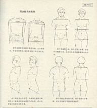 老妇女采集到人体结构