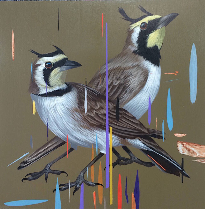 陆慕采集到插画、大师