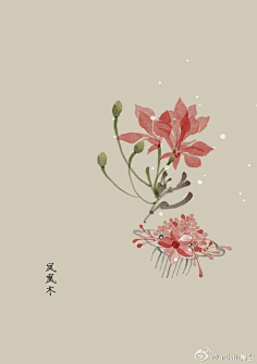 芍药居一霸采集到不知道叫啥名