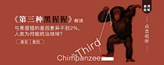 小牧童采集到banner设计