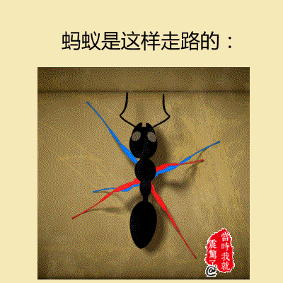 九个超级酷炫但你不知道的小常识小伙伴们来涨姿势吧