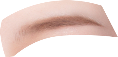 证件照素材五官眉毛素材五官素材1眉毛女