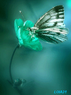 采集14喜欢评论查看来源 photo.99px.