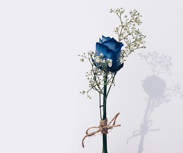 budheadthisisamovementtomotivatepeopleintheactofflowergivingwho