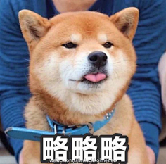 表情包-花瓣网|陪你做生活的设计师 | 我想要这个狗的 表情包_斗图吧