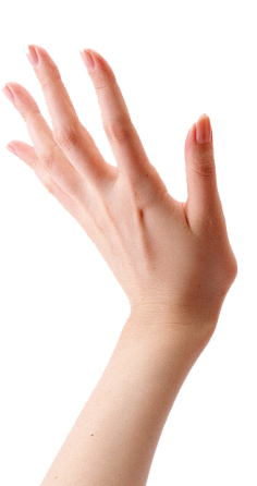 DesignerHand采集到A png/小元素