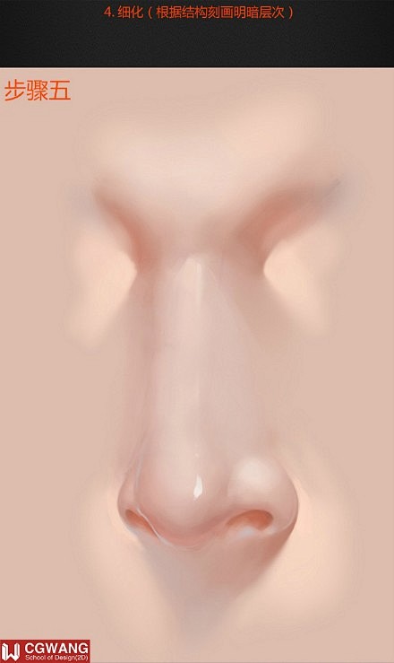 sai资源库逼真写实的鼻子绘画过程鼻子比例反光暗部调整自己收藏绘制