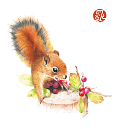黄丝绿采集到彩铅