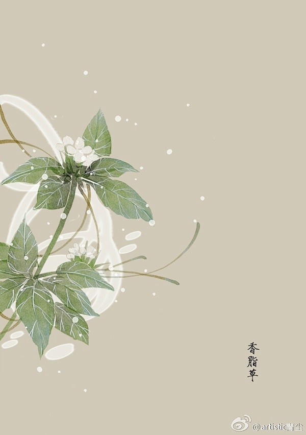 365天生日花 2月11日香脂草 Balm 花语 同情