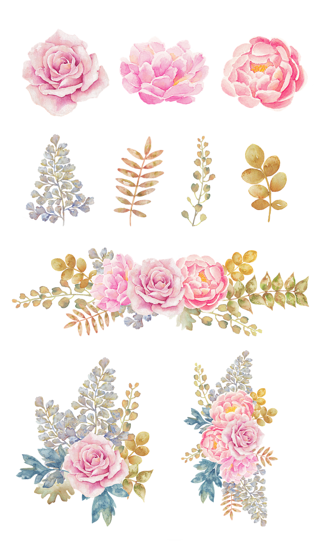 花草素材花朵手绘png 植物素材手绘花朵