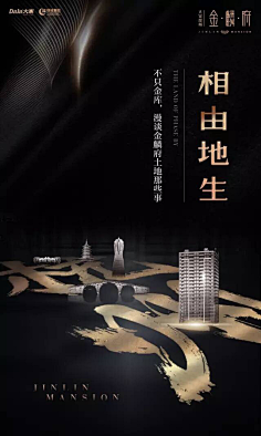 Terric采集到地产丨黑金