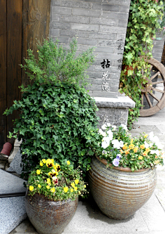 flora小六采集到无锡禅意小镇拈花湾